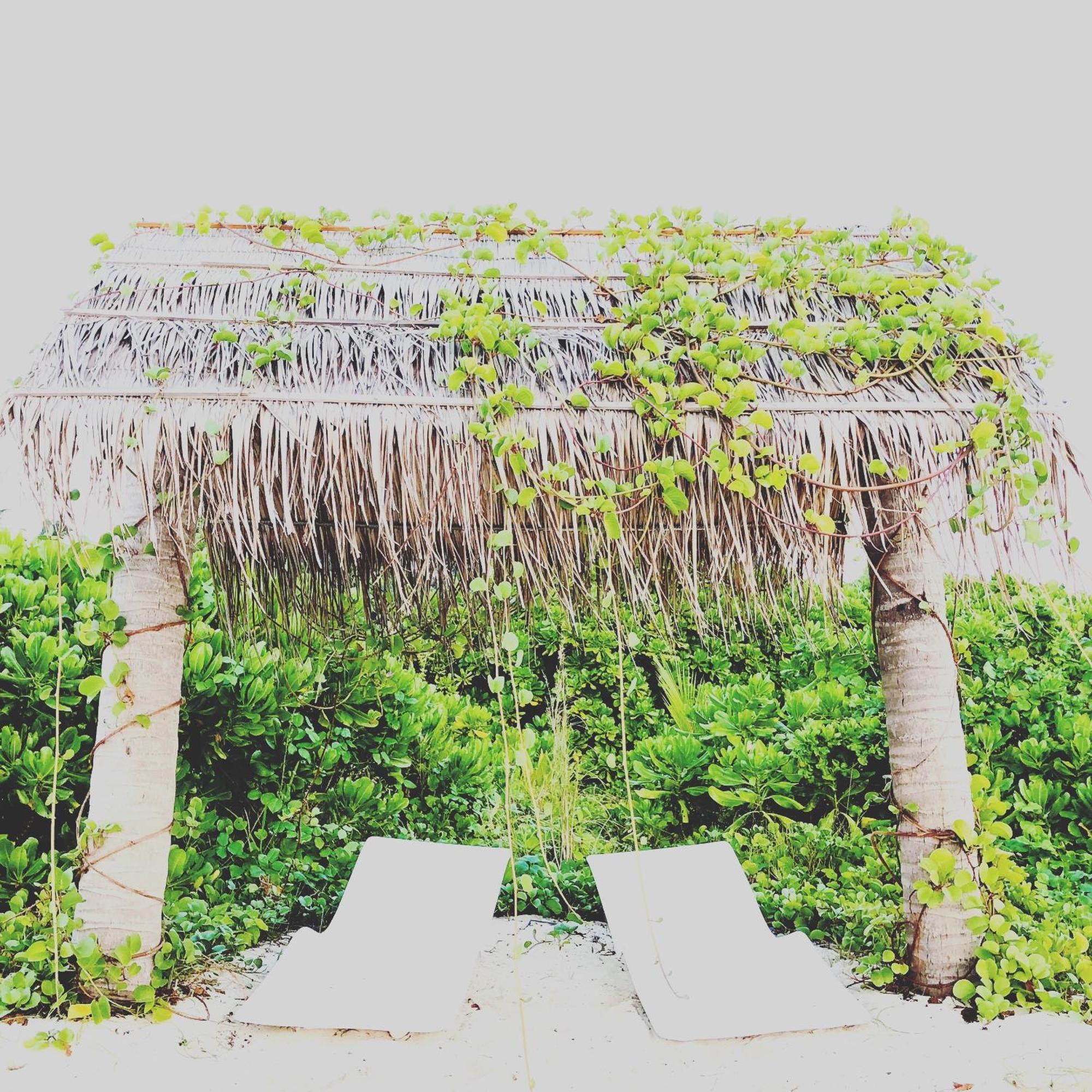 Infinity Dhiffushi Hotel Exterior foto